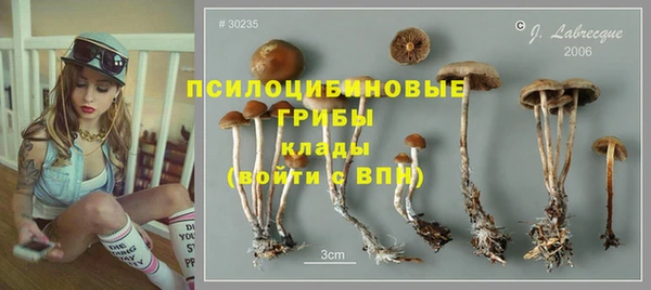 не бодяженный Богородск