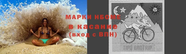 стаф Богородицк