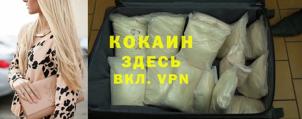 спиды Богданович