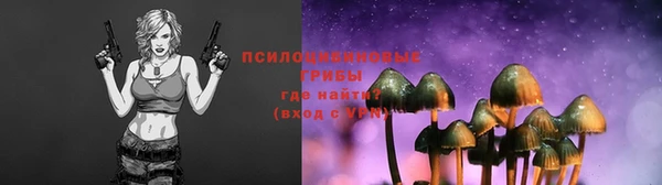 спиды Богданович