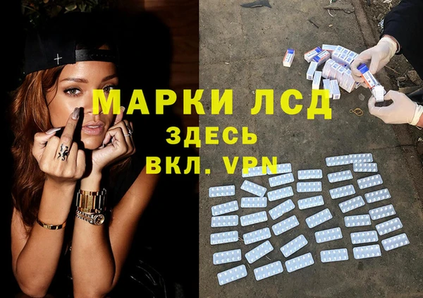 спиды Богданович