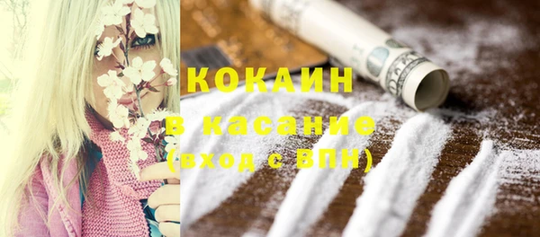спиды Богданович