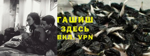 стаф Богородицк