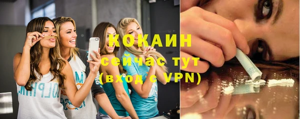 спиды Богданович
